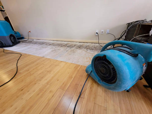 Professional Flood Damage Cleanup technician working in Long Island, ME
